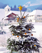 weihnachtsbaum 42 liste